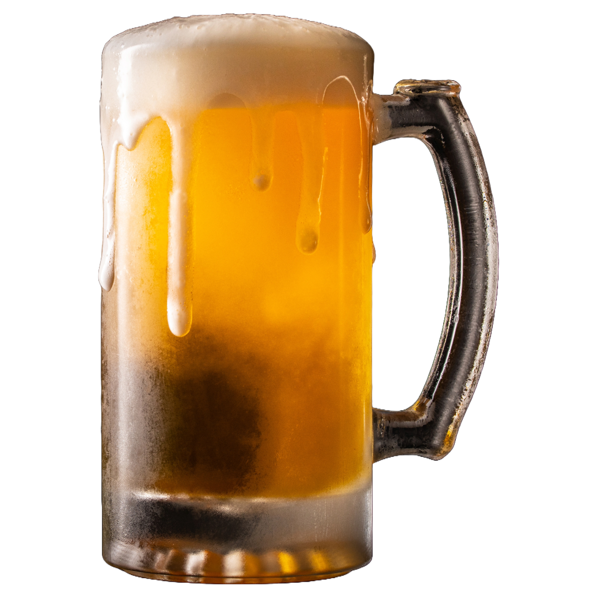 Cerveja Artesanal IPA