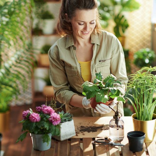 Xeriscape: Jardinagem Sustentável com Pouca Água