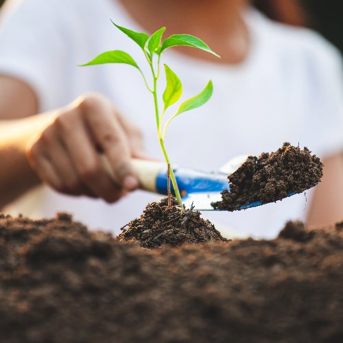 Compostagem Doméstica: Transformando Resíduos em Nutrientes para o Solo