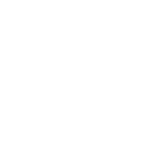 icone SEO